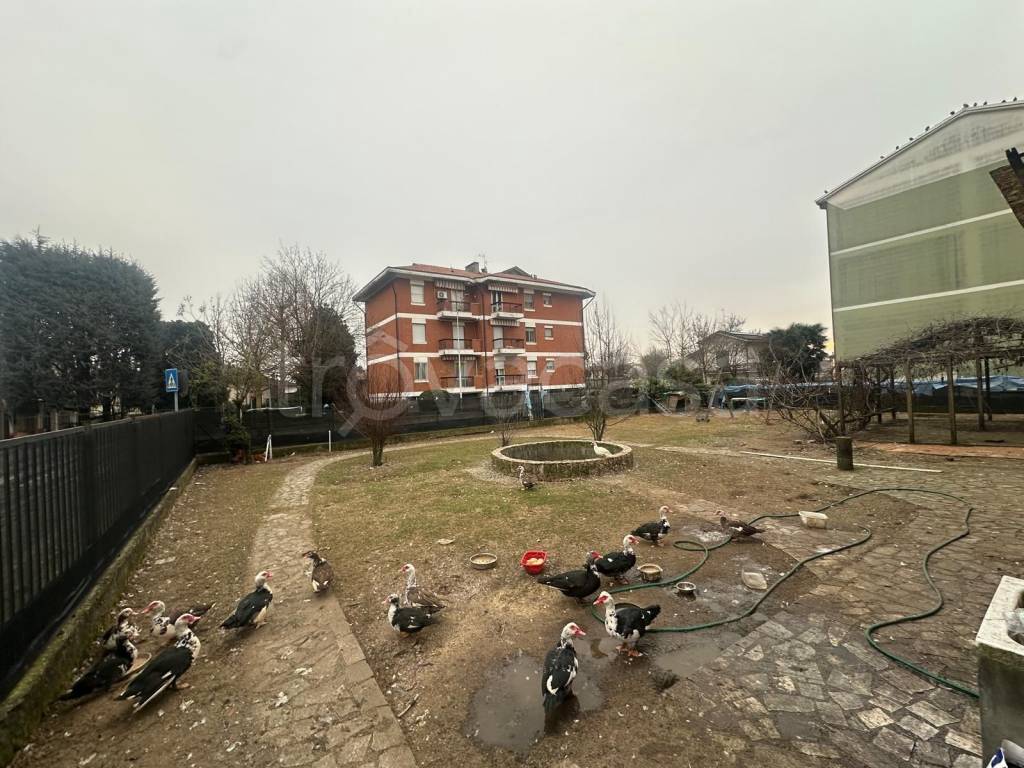 immagine annuncio 5 di 15