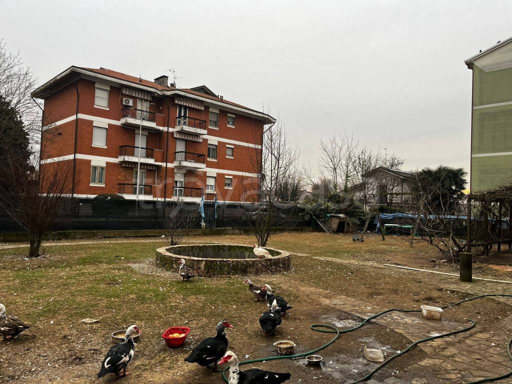 immagine annuncio 6 di 15