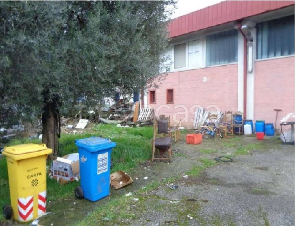 immagine annuncio 5 di 15