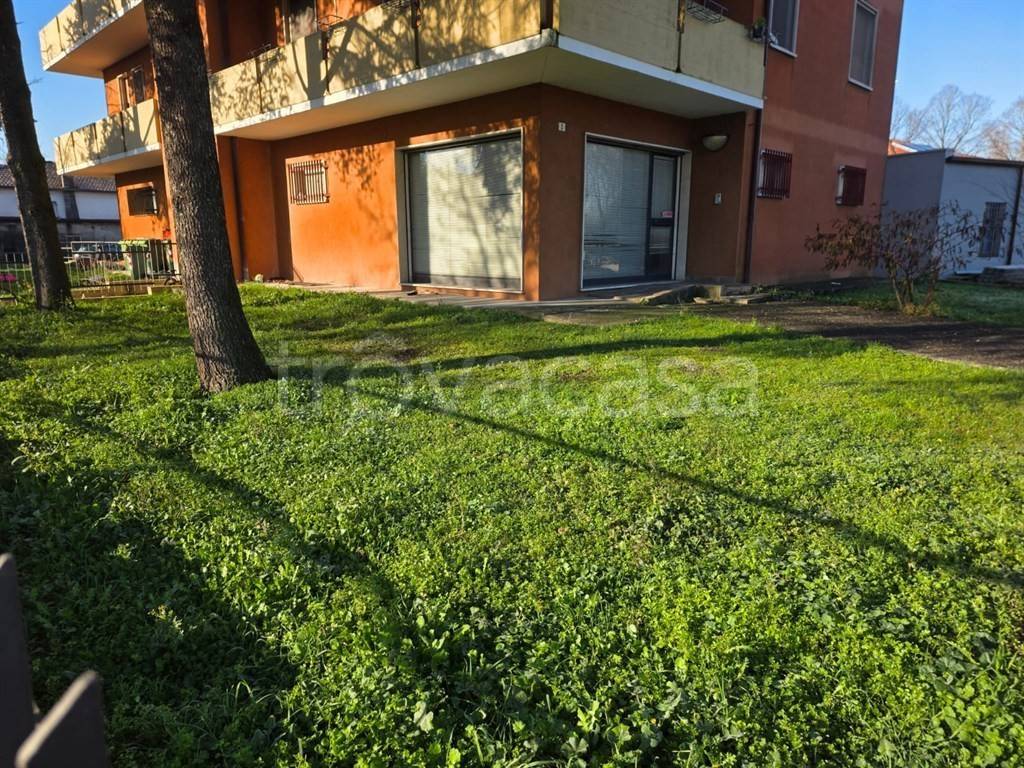 immagine annuncio 4 di 6