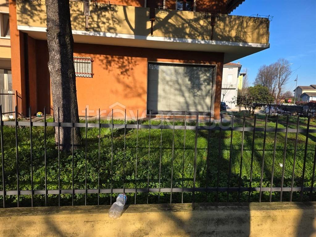 immagine annuncio 5 di 6