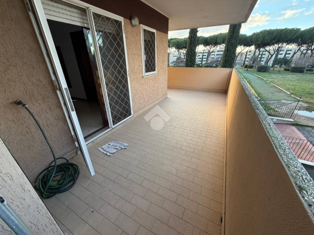 immagine annuncio 10 di 12