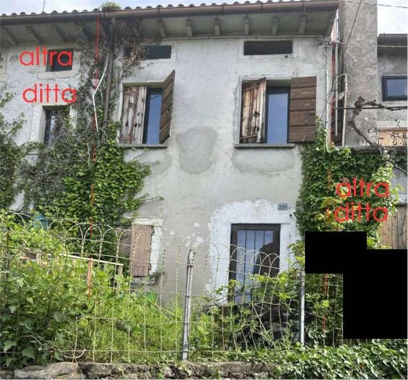 immagine annuncio 4 di 12