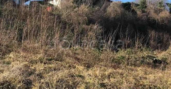 appartamento in vendita a Gazzola in zona Rezzanello