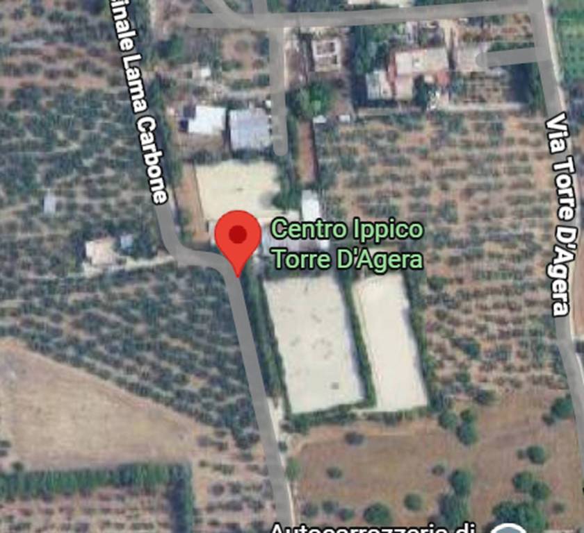 immagine annuncio 4 di 11