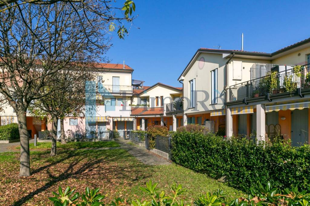 immagine annuncio 12 di 13