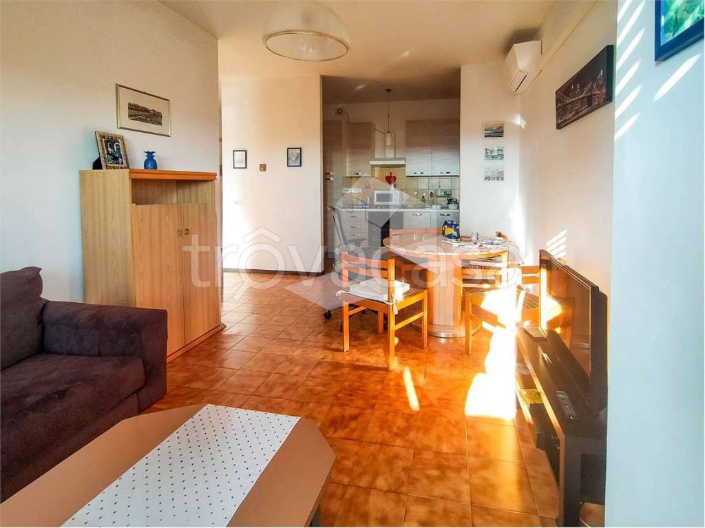 immagine annuncio 1 di 13