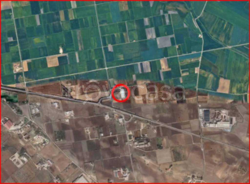 immagine annuncio 11 di 12