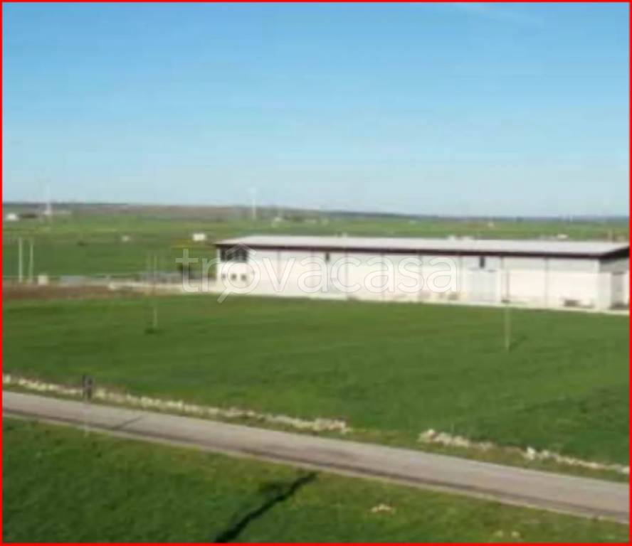 immagine annuncio 2 di 12