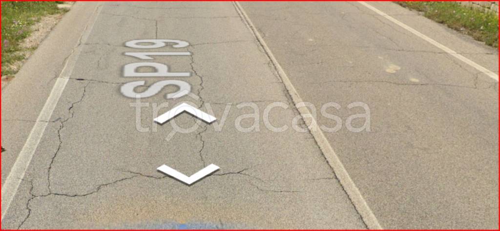 immagine annuncio 9 di 12