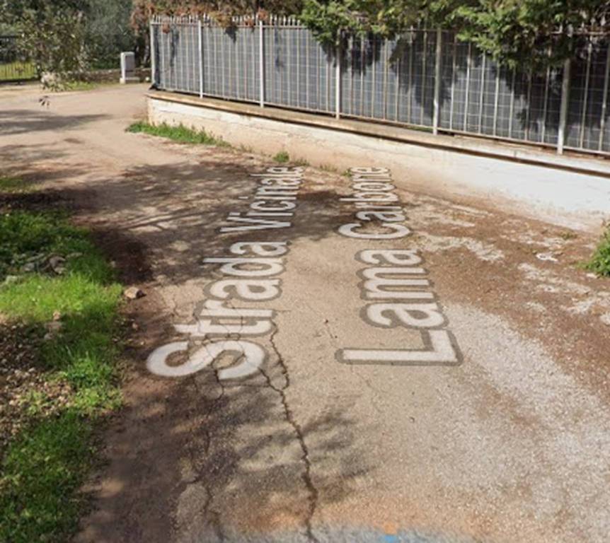 immagine annuncio 9 di 13