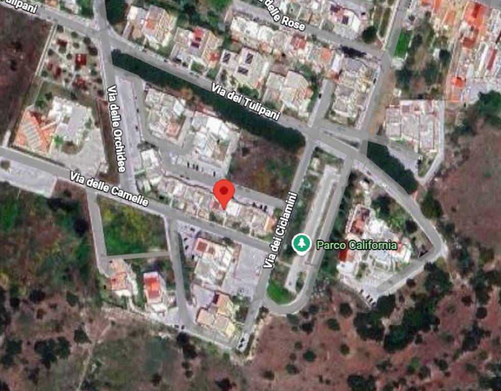 immagine annuncio 4 di 12