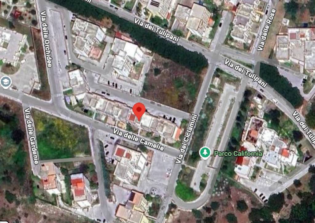 immagine annuncio 6 di 12