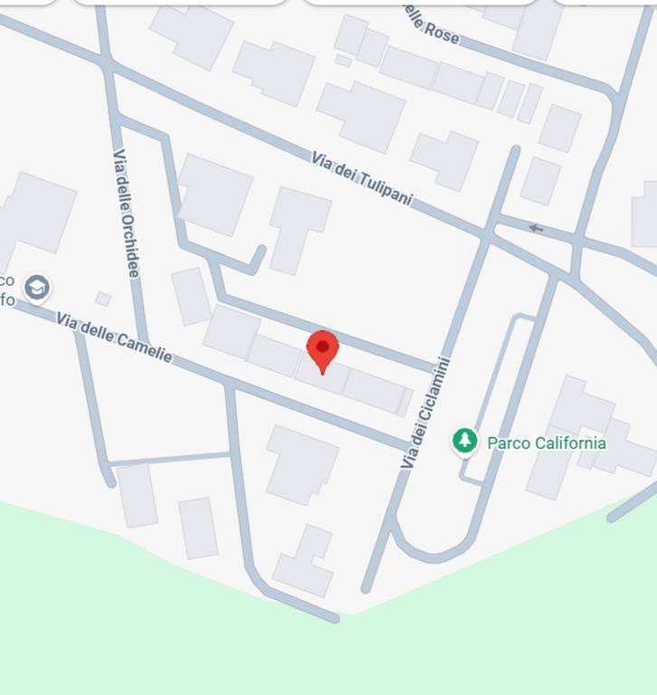 immagine annuncio 7 di 12