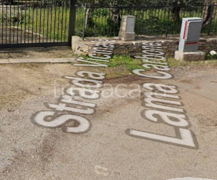 immagine annuncio 12 di 13