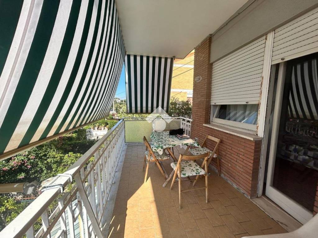 immagine annuncio 3 di 12