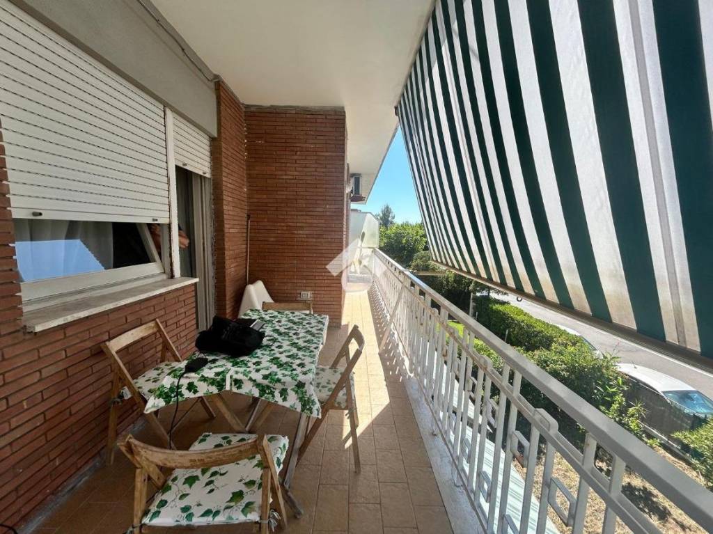 immagine annuncio 4 di 12