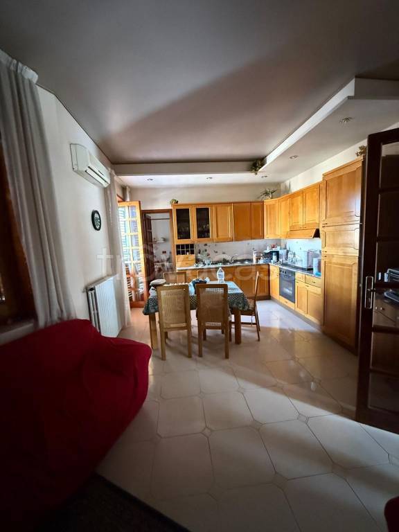 immagine annuncio 12 di 14