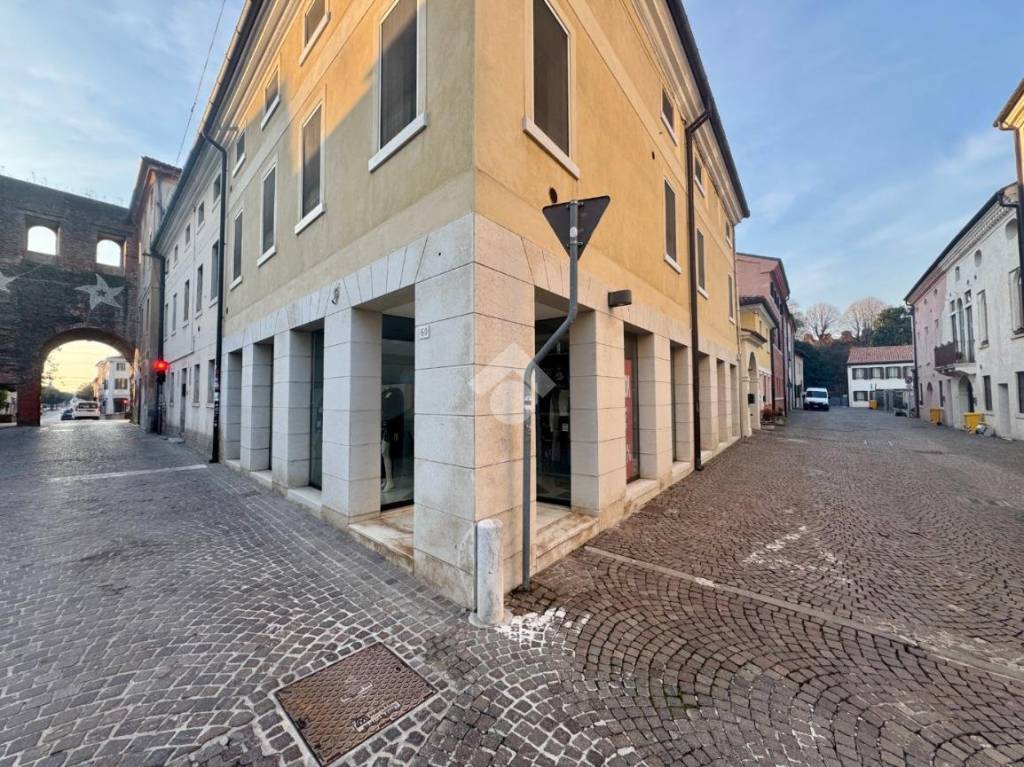 immagine annuncio 7 di 14