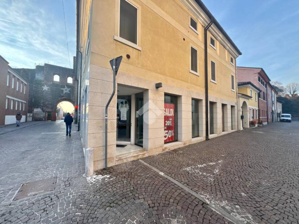 immagine annuncio 9 di 14