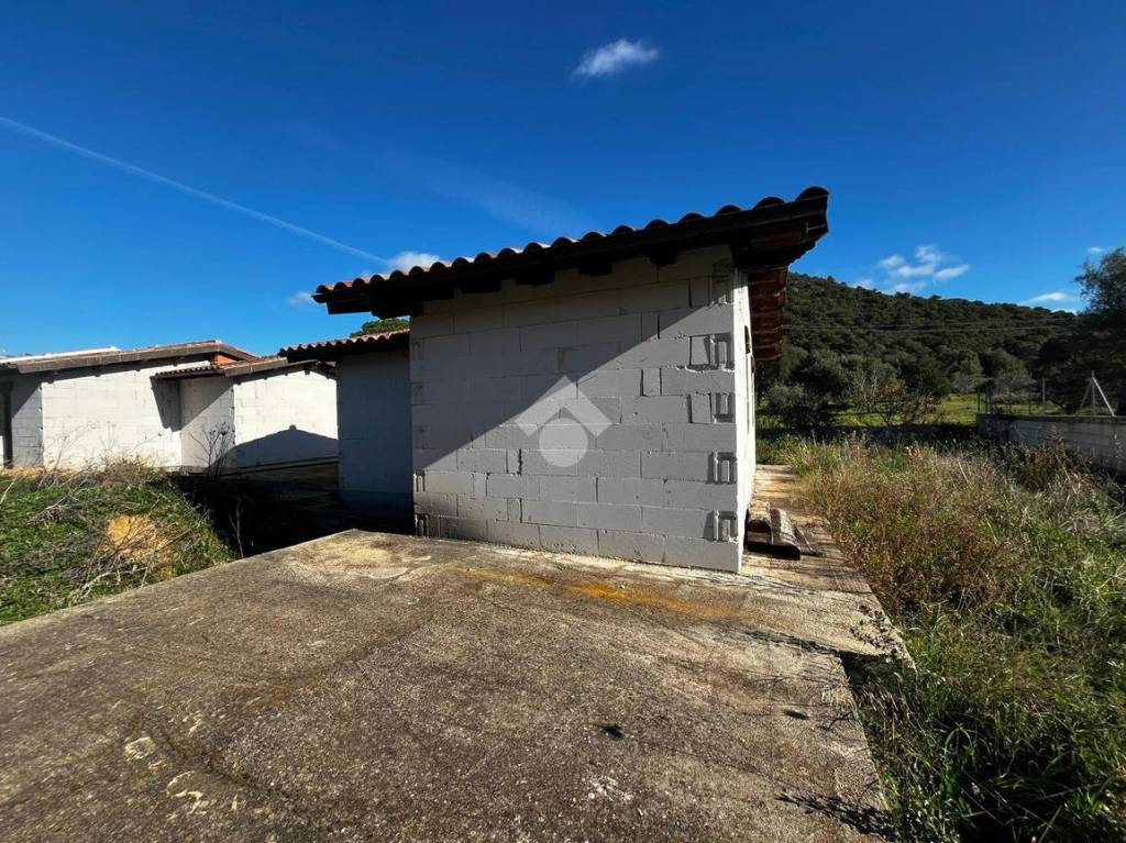 immagine annuncio 8 di 13