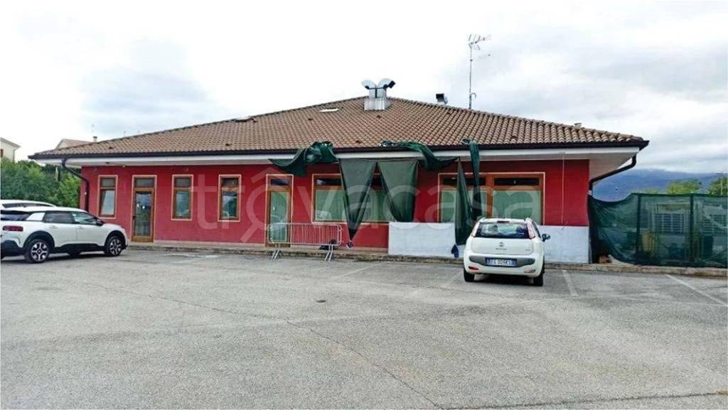 immagine annuncio 2 di 12