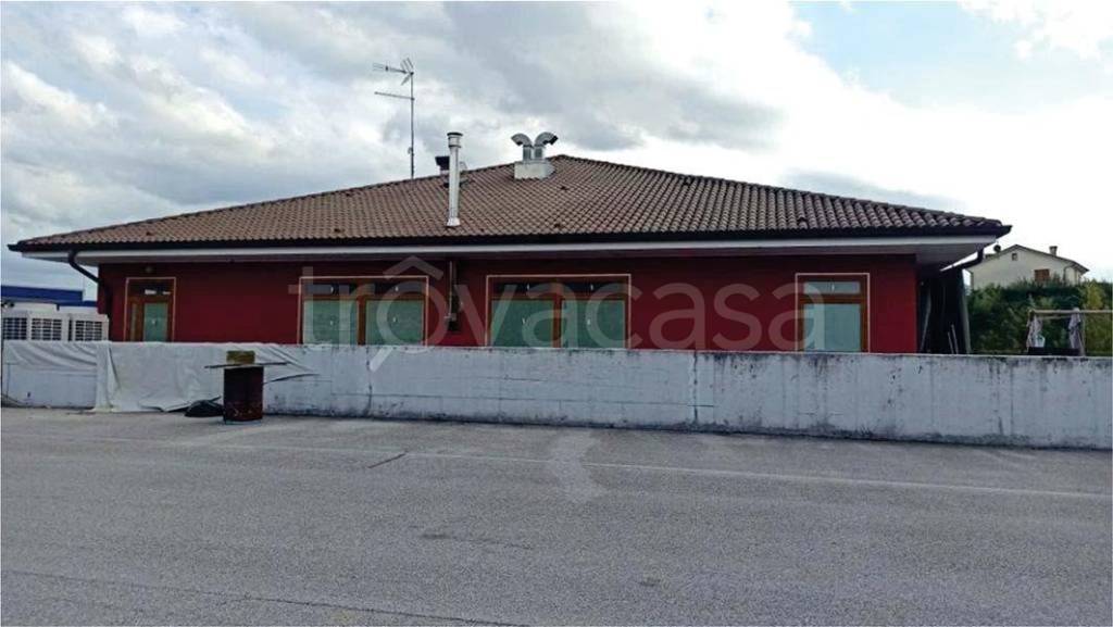 immagine annuncio 3 di 12