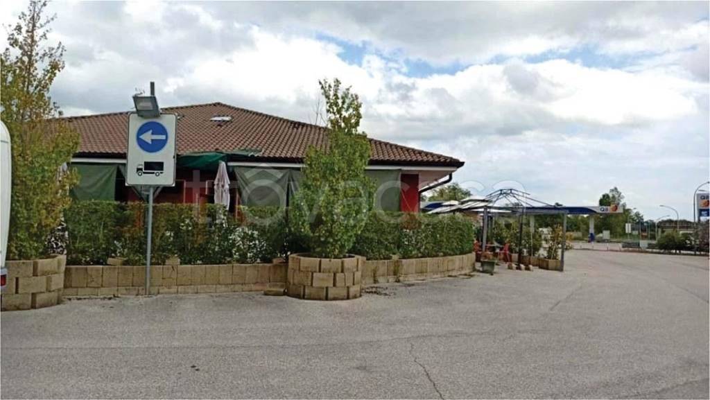 immagine annuncio 4 di 12