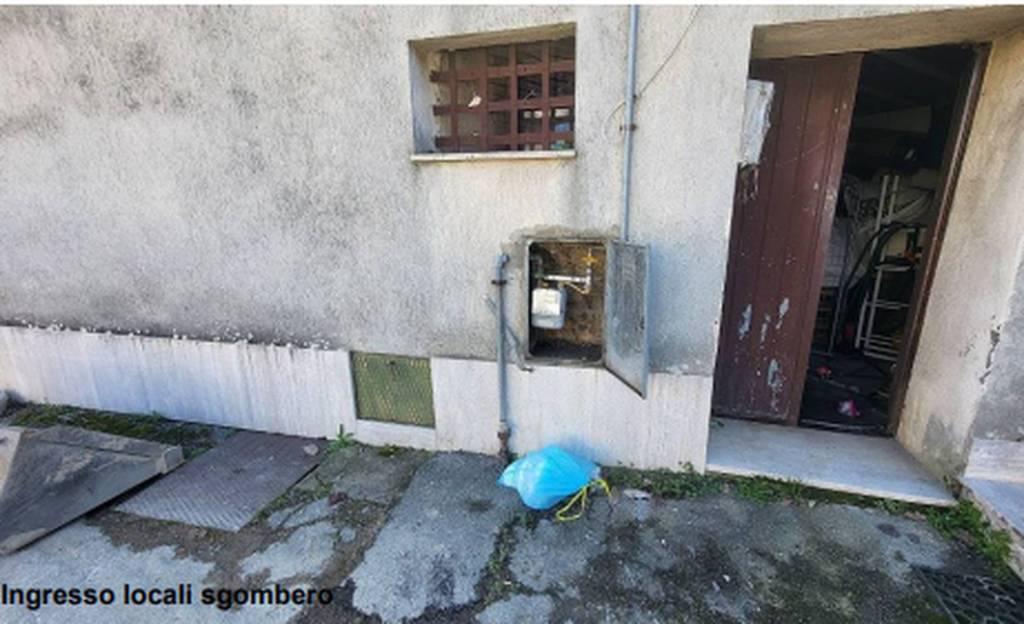 immagine annuncio 2 di 11