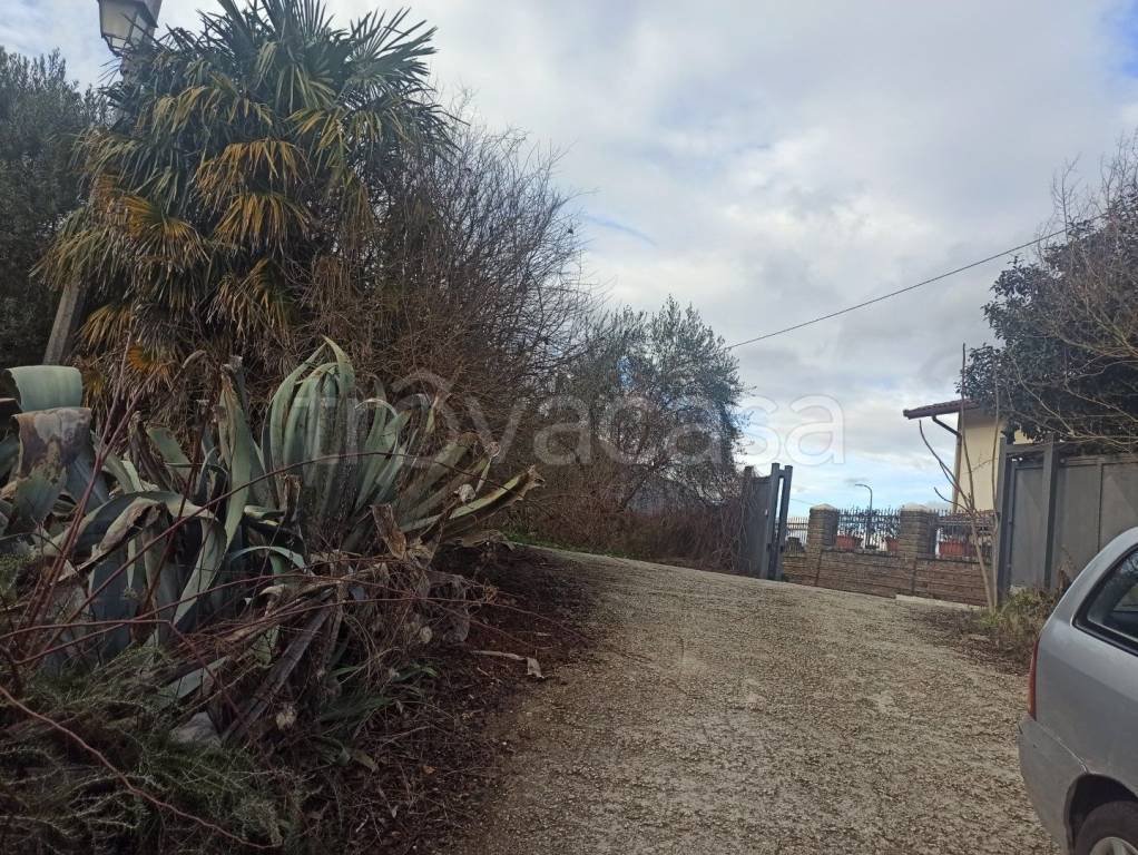 immagine annuncio 3 di 13