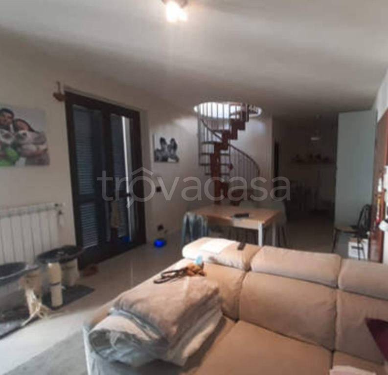 immagine annuncio 6 di 11