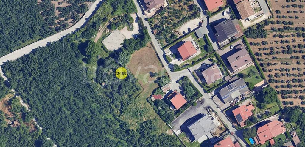 immagine annuncio 11 di 13