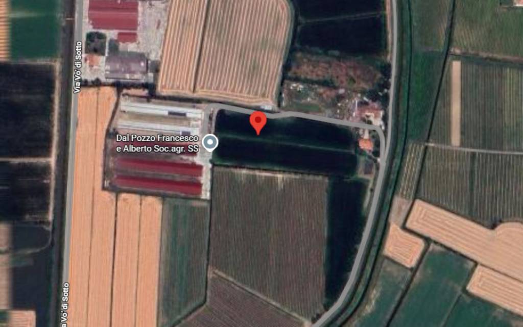 immagine annuncio 5 di 12