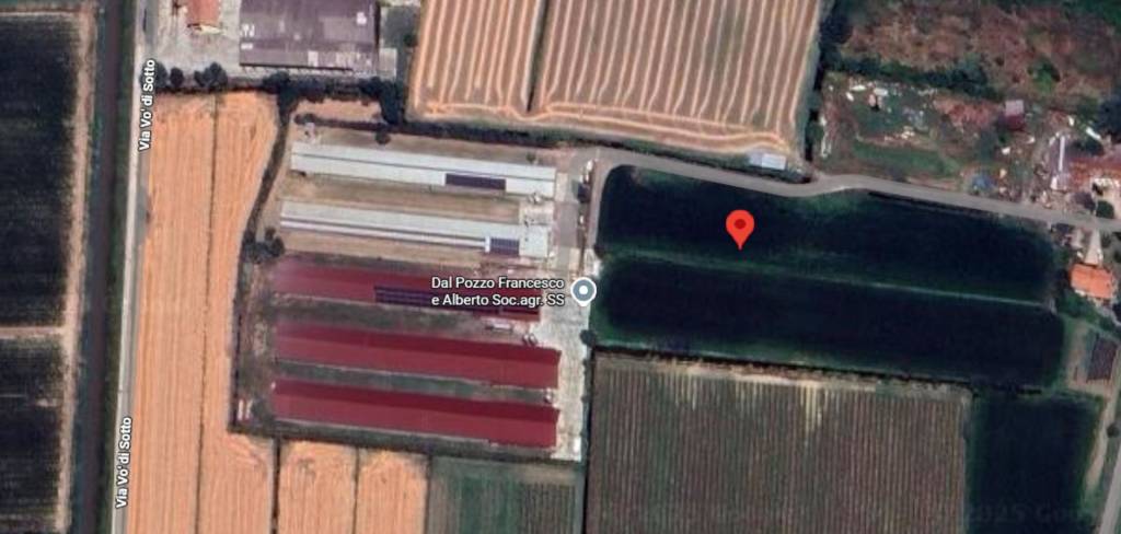 immagine annuncio 7 di 12