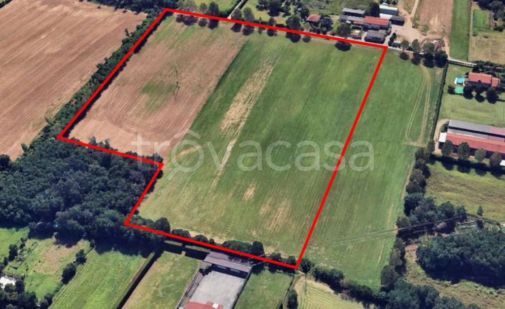 immagine annuncio 2 di 8