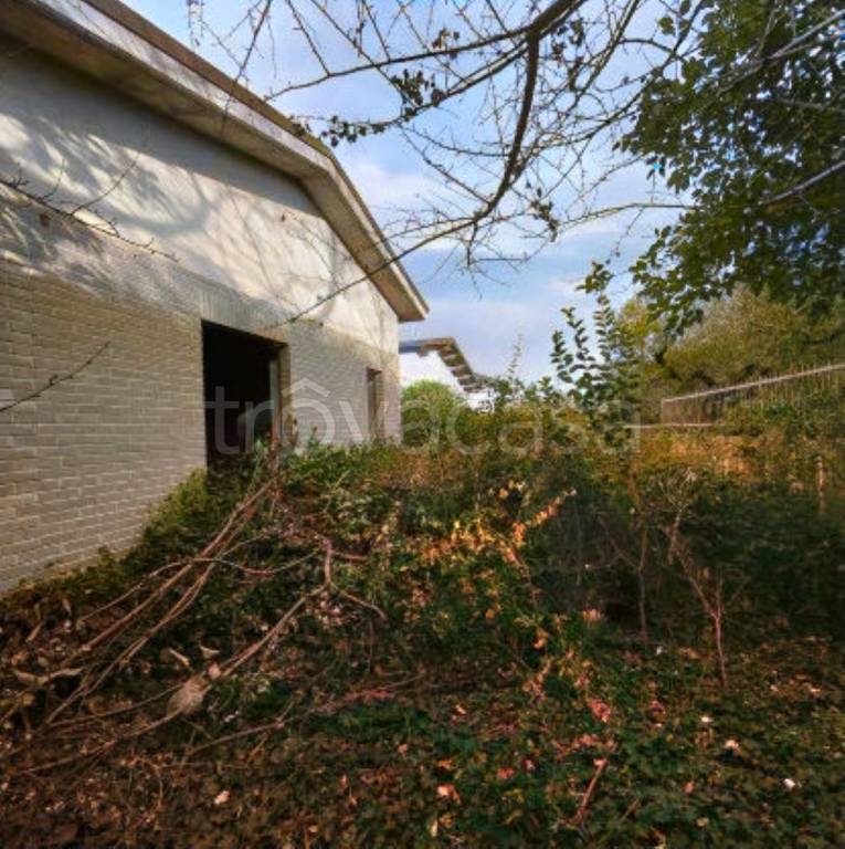 immagine annuncio 4 di 13