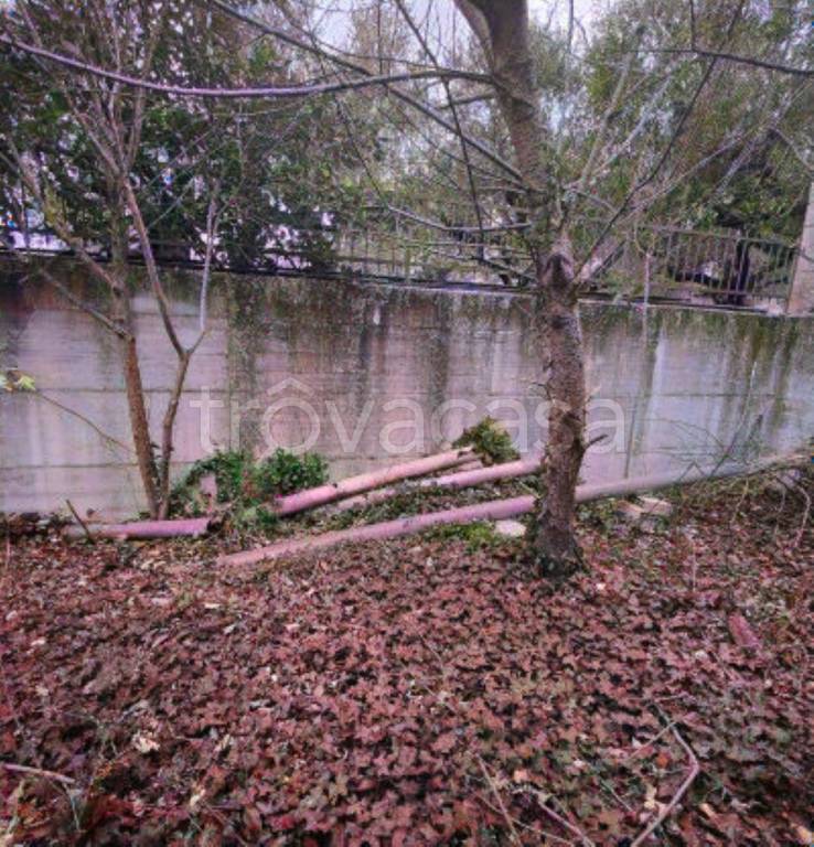 immagine annuncio 6 di 13