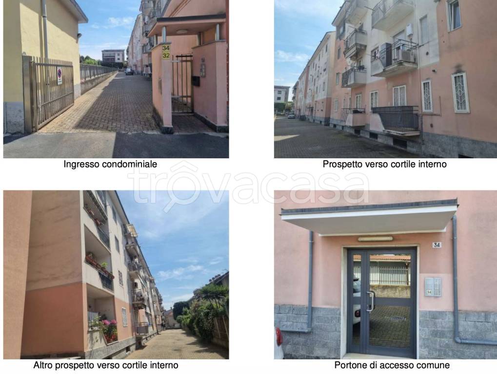 immagine annuncio 1 di 13