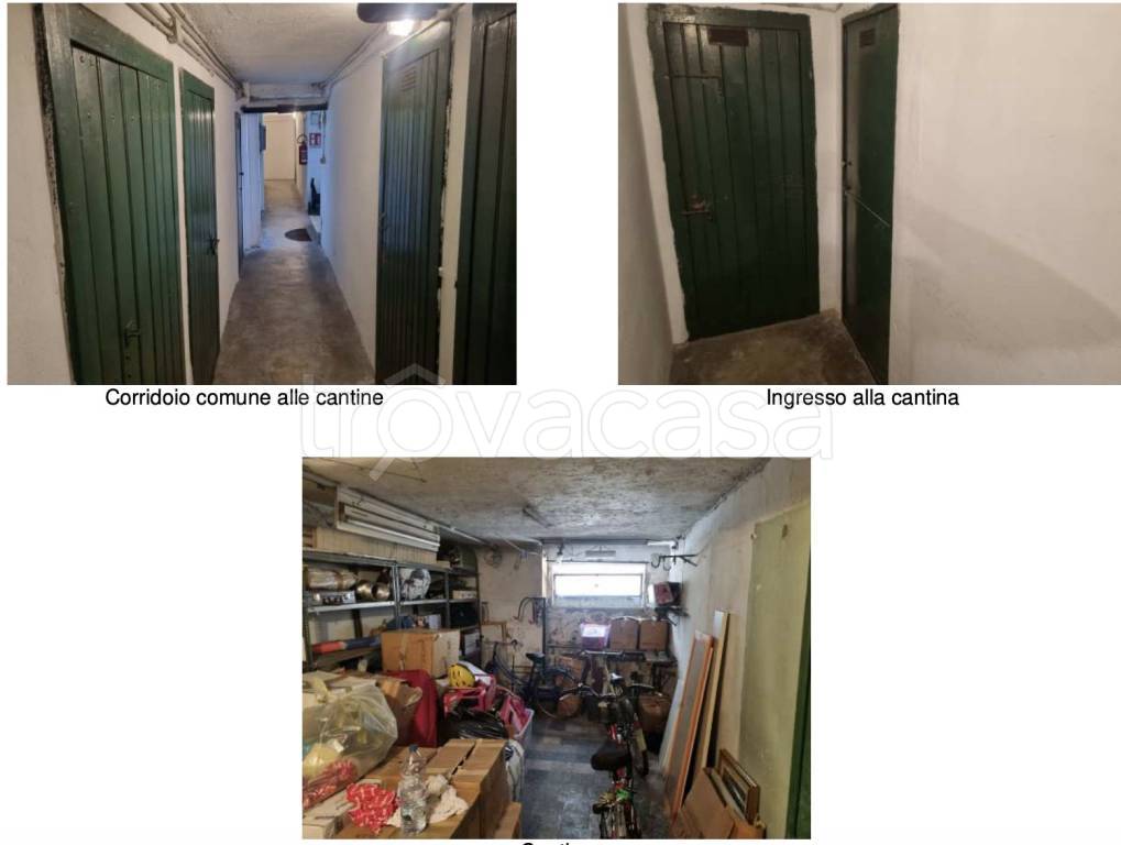 immagine annuncio 2 di 13