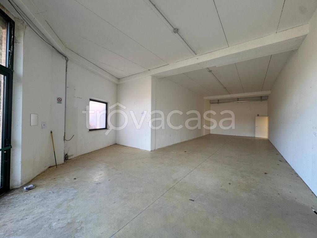 immagine annuncio 6 di 14