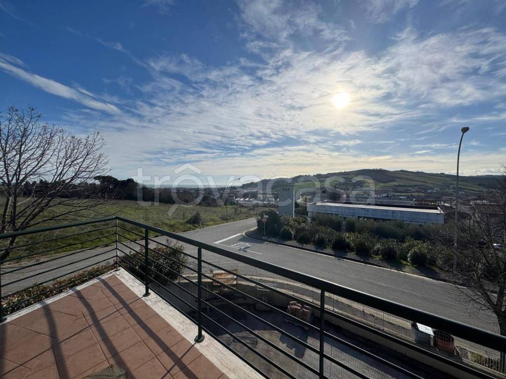 immagine annuncio 9 di 14