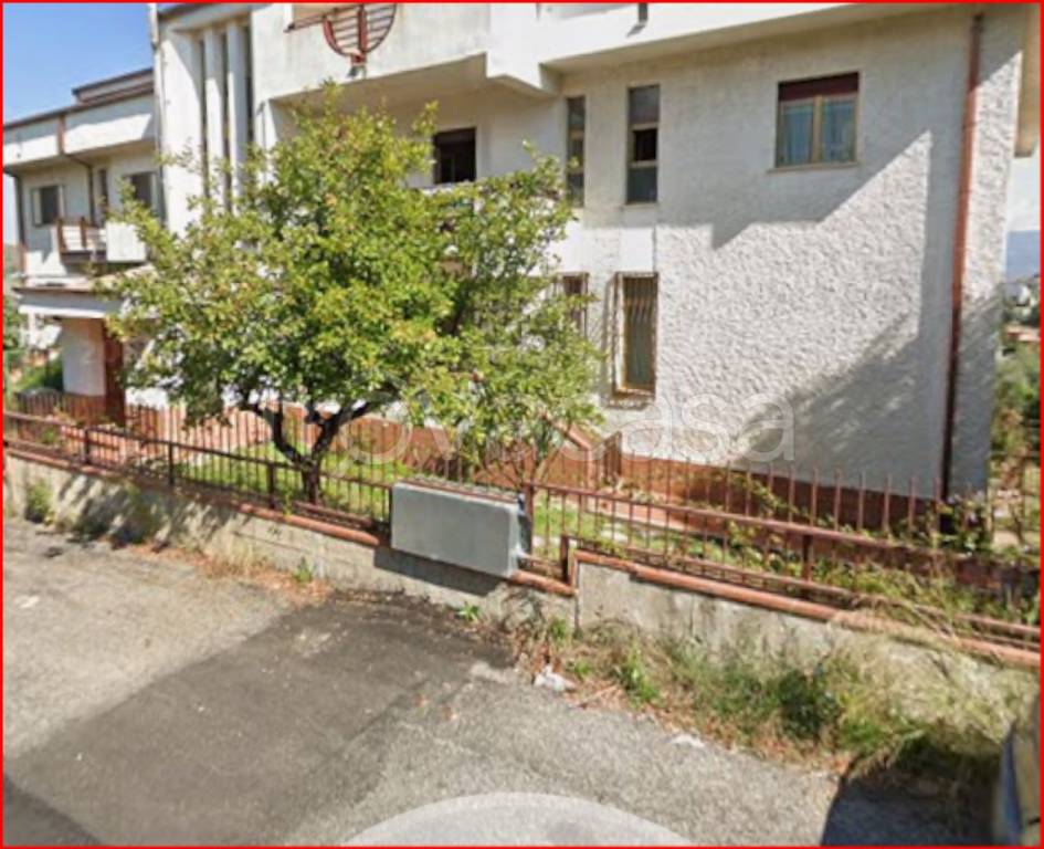 immagine annuncio 3 di 12