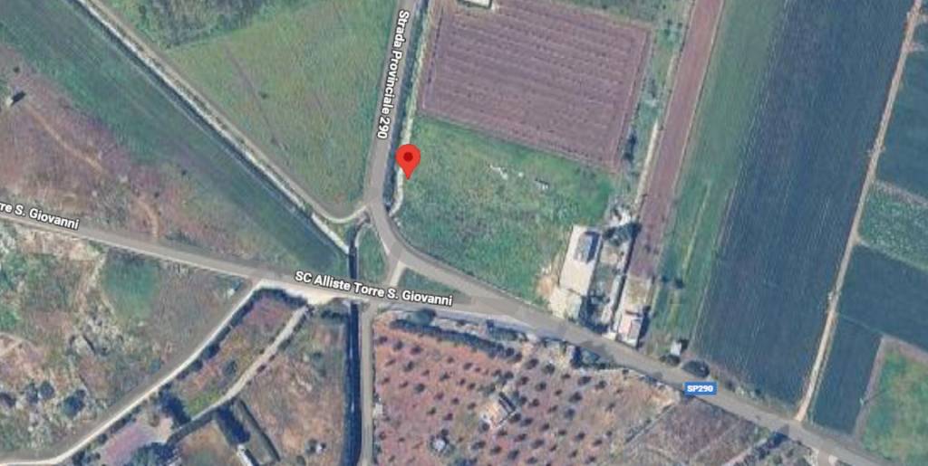 immagine annuncio 4 di 13