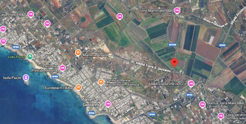 immagine annuncio 6 di 13