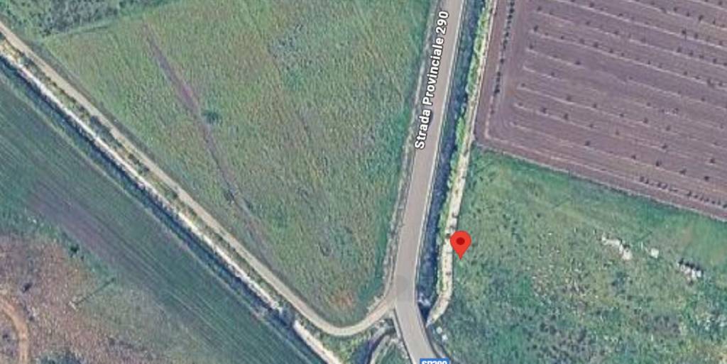 immagine annuncio 7 di 13