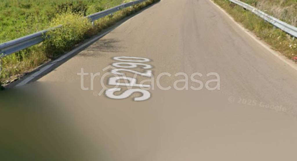 immagine annuncio 11 di 13