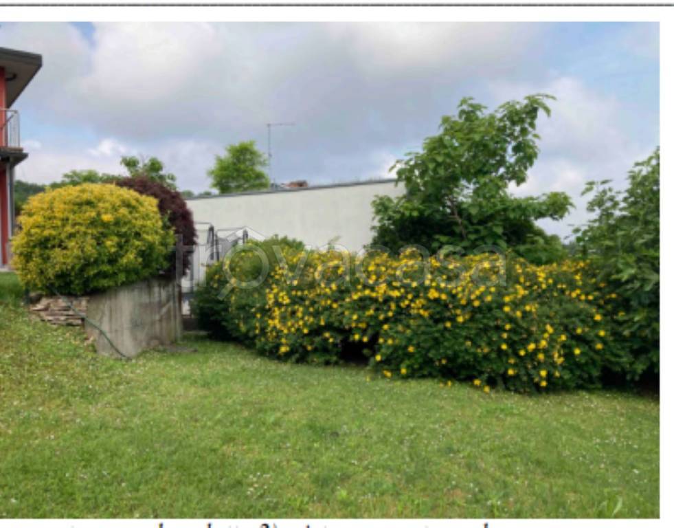 immagine annuncio 5 di 14