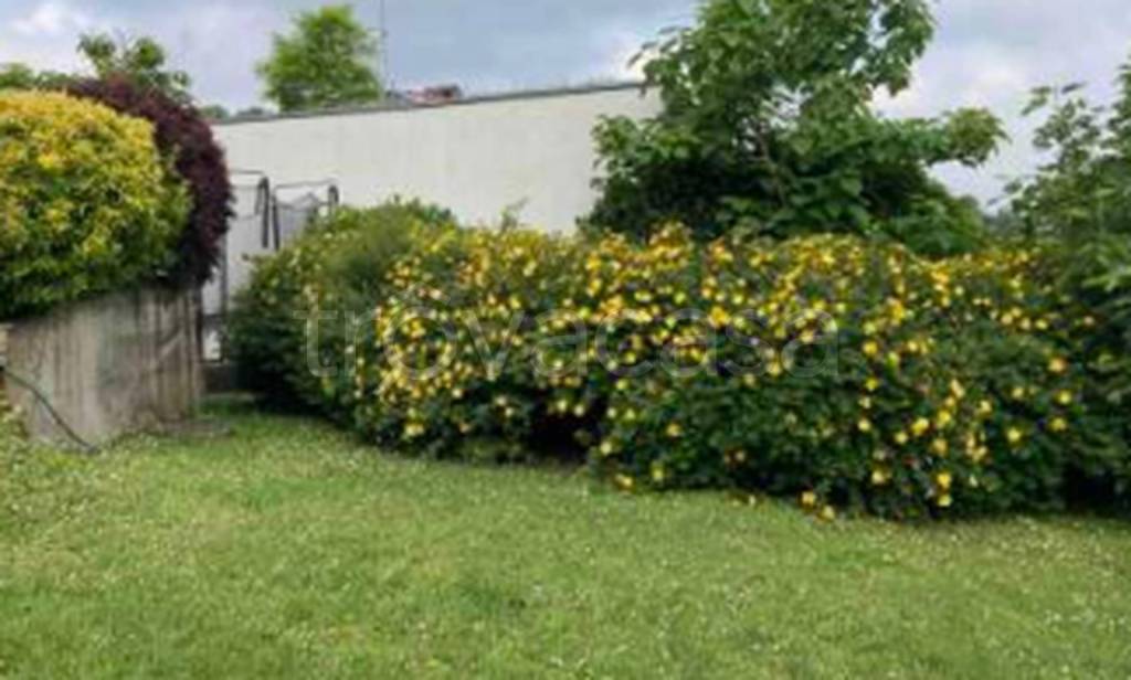 immagine annuncio 8 di 12