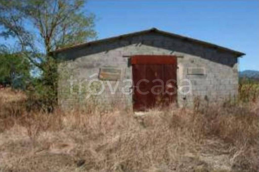 immagine annuncio 11 di 14