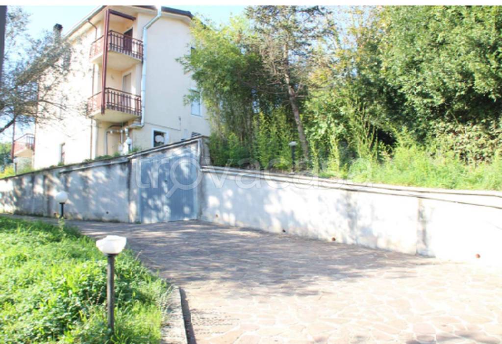 immagine annuncio 8 di 11